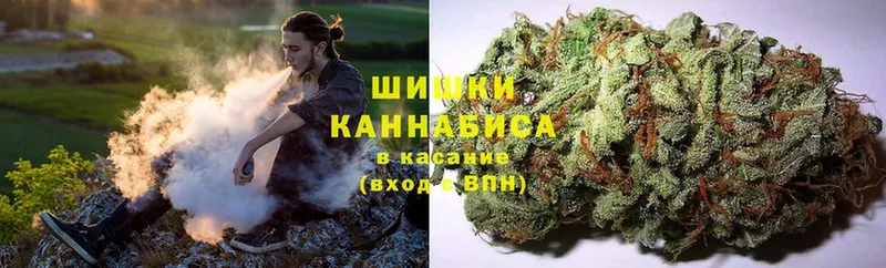 Бошки Шишки Ganja  Завитинск 